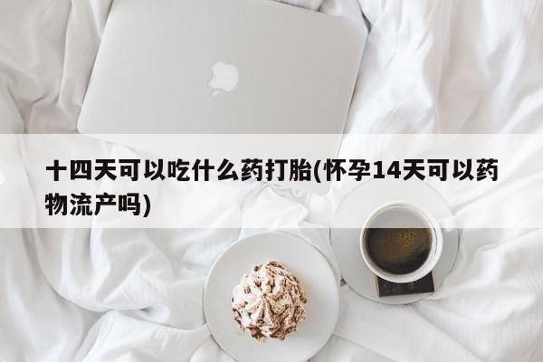 米非米索在线购买十四天可以吃什么药打胎(怀孕14天可以药物流产吗)